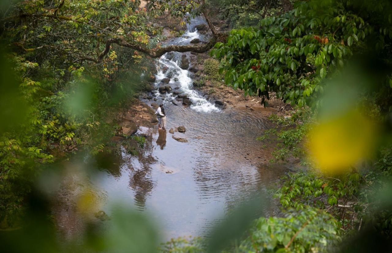 Ela Ecoland Nature Retreat Муннар Екстер'єр фото