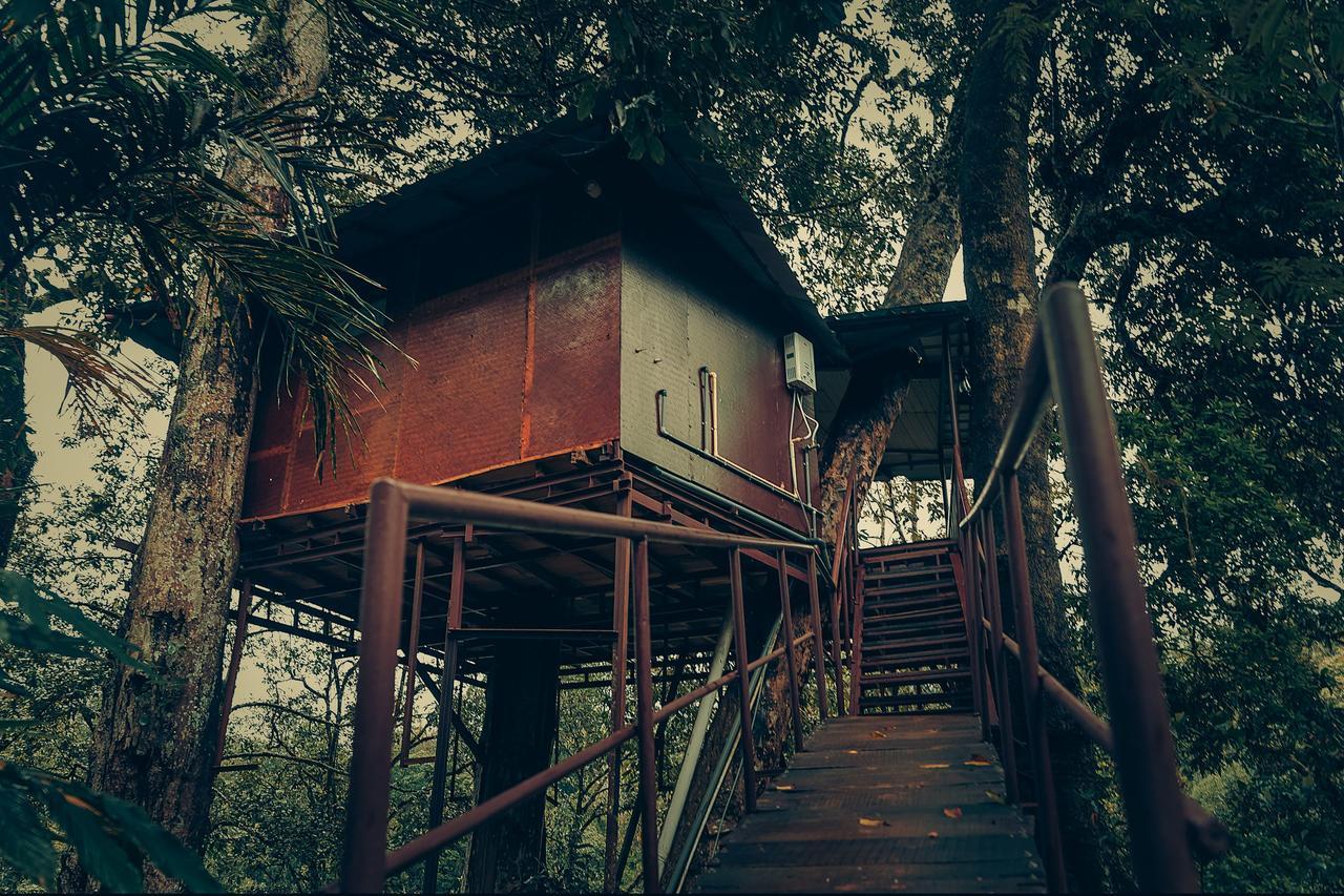 Ela Ecoland Nature Retreat Муннар Екстер'єр фото